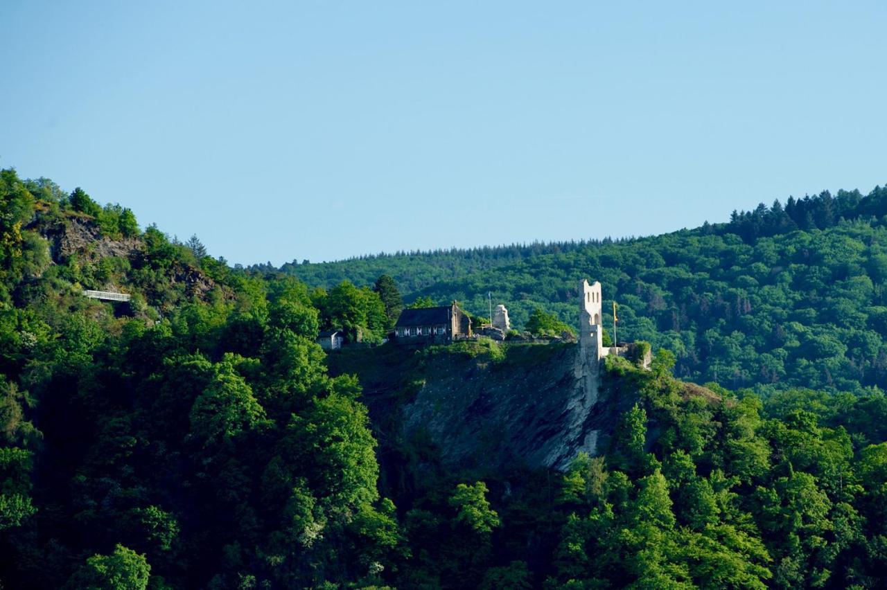 Neu - Premium-Ferienhaus Mosel-Sonne Traben-Trarbach Exteriör bild