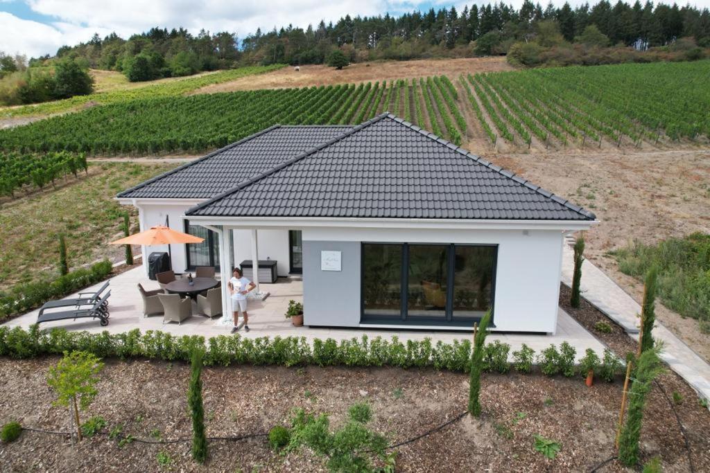 Neu - Premium-Ferienhaus Mosel-Sonne Traben-Trarbach Exteriör bild